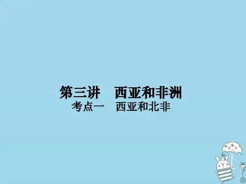 (新课标)2021版高考地理一轮总复习第十三章世界地理分区第三讲西亚和非洲课件