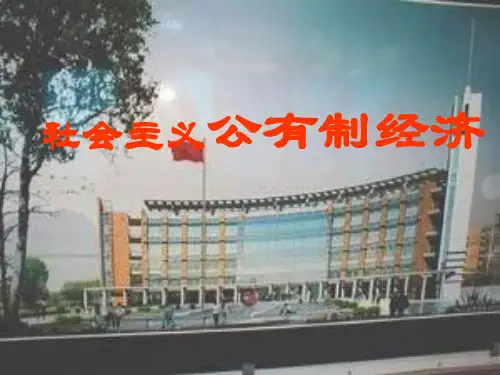 公有制经济和非公有制经济