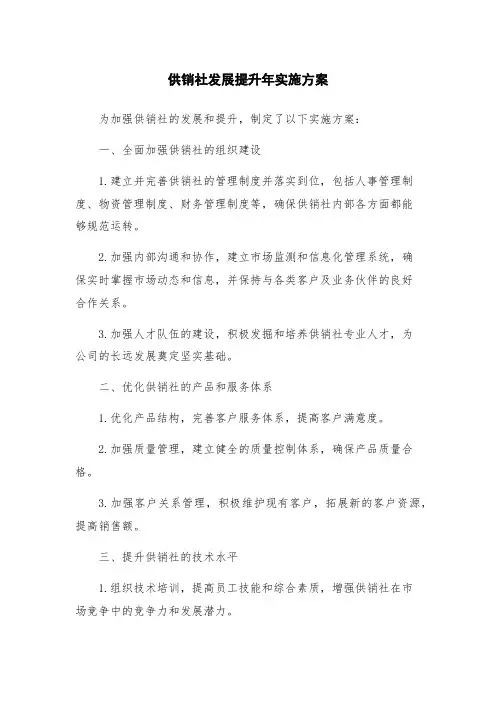 供销社发展提升年实施方案