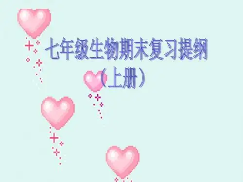 七年级生物七年级生物期末复习提纲课件(上册)-新人教