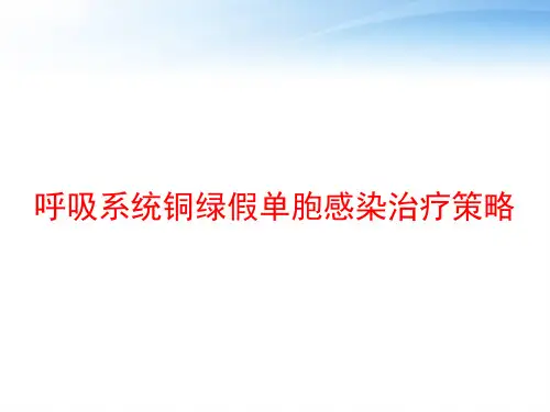呼吸系统铜绿假单胞感染治疗策略 ppt课件