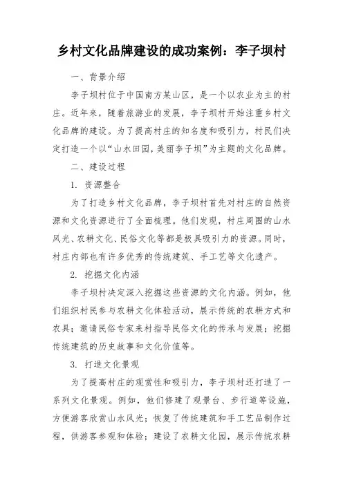 乡村文化品牌案例