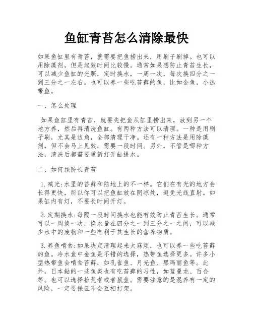 鱼缸青苔怎么清除最快