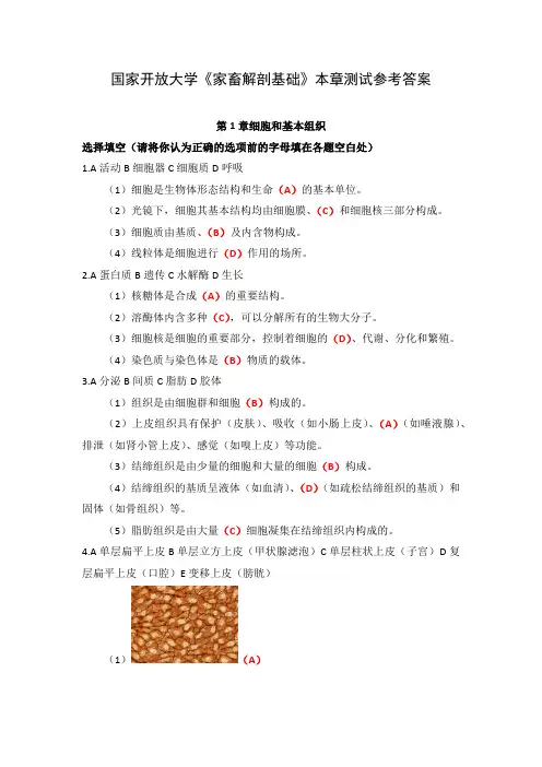 国家开放大学《家畜解剖基础》本章测试参考答案