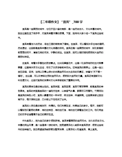 【二年级作文】“宜宾”_700字