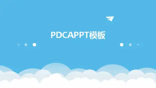 PDCAPPT模板