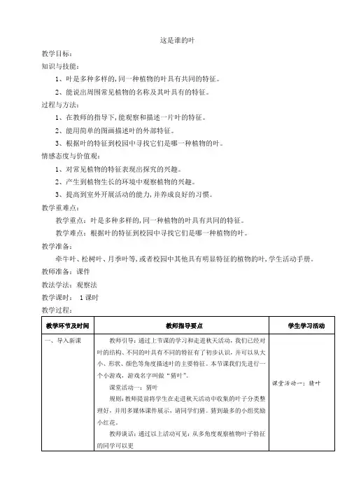 这是谁的叶-优秀公开课教学设计