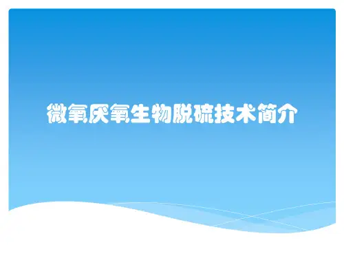 微氧厌氧生物脱硫技术简介