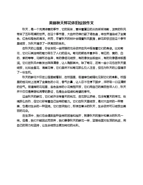 美丽秋天鲜花依旧绽放作文