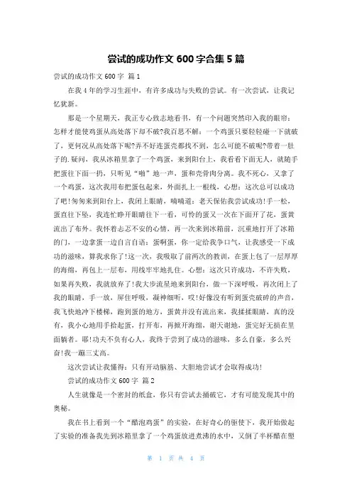 尝试的成功作文600字合集5篇