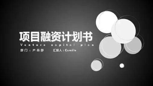 黑白项目融资商业路演PPT
