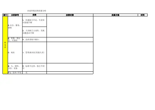 内部环境分析汇总