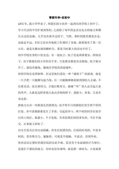 青涩年华--在初中
