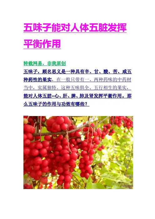 五味子能对人体五脏发挥平衡作用
