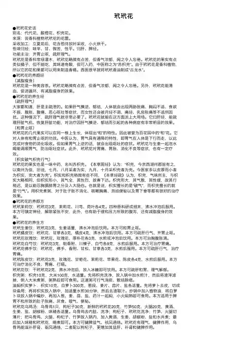 玳玳花——精选推荐