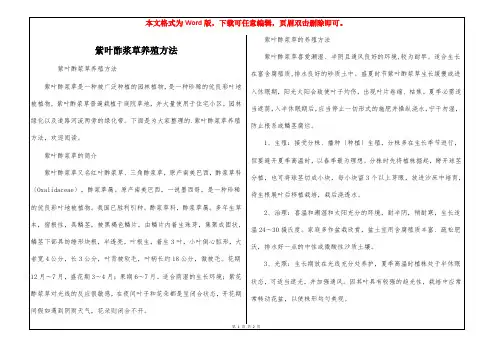 紫叶酢浆草养殖方法