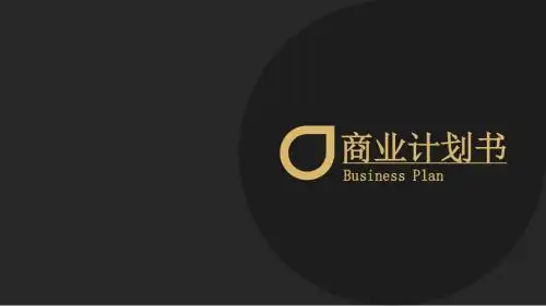 黑金高端商业计划书PPT