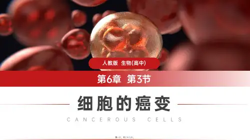 (细胞的癌变)人教版必修高一生物教学课件
