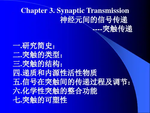 神经元间的信号传递--突触传递