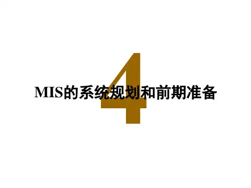 MIS3(MIS系统规划)