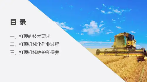 棉花田间管理—打顶