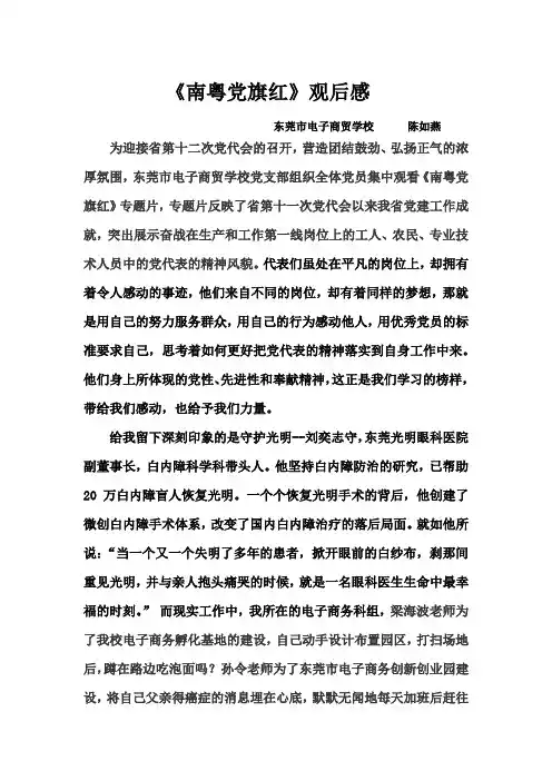 陈如燕《南粤党旗红》观后感