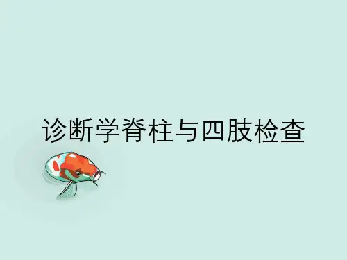 诊断学脊柱与四肢检查