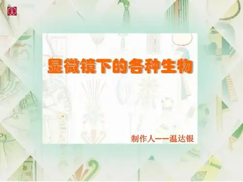 第五节显微镜下的各种生物(单细胞生物)