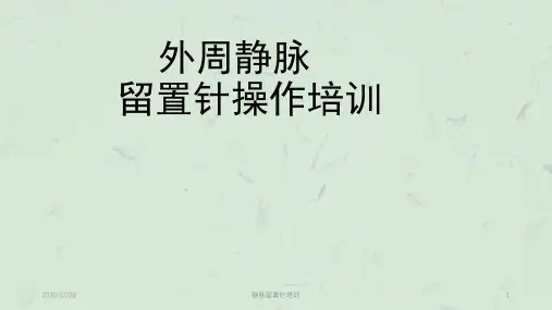 静脉留置针培训课件
