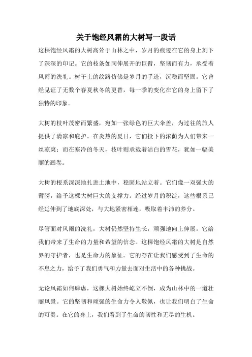 关于饱经风霜的大树写一段话
