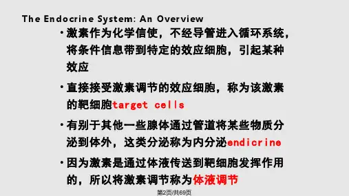 普通生物学内分泌系统与体液调节