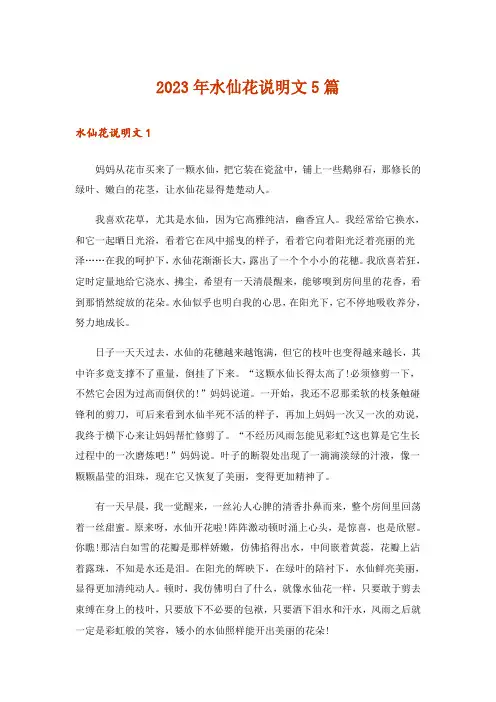 2023年水仙花说明文5篇
