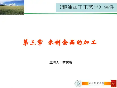 3第三章--米制食品的加工--20140119