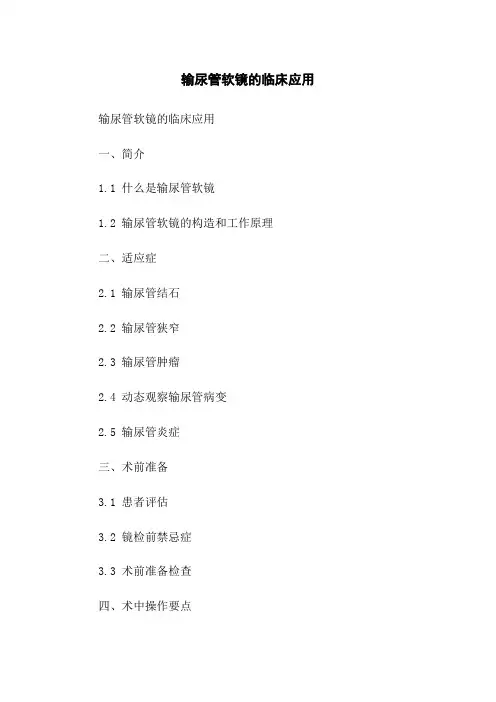 输尿管软镜的临床应用