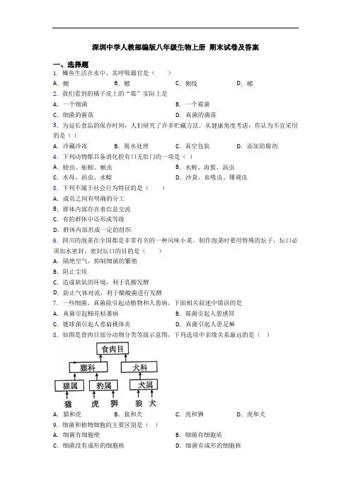 深圳中学人教部编版八年级生物上册 期末试卷及答案