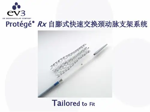 Protege RX产品介绍