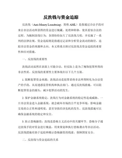 反洗钱与资金追踪