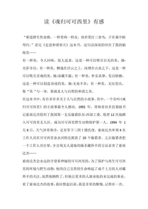 初二读后感读《魂归可可西里》有感 