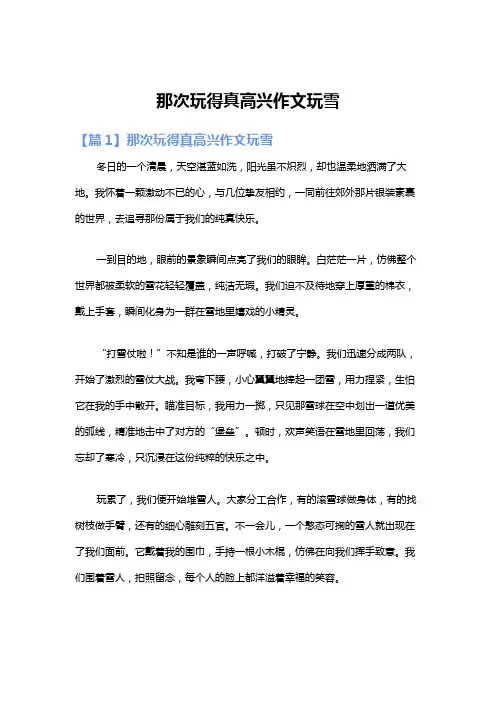 那次玩得真高兴作文玩雪