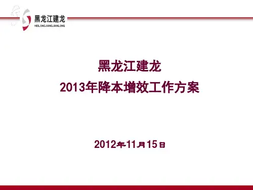 2013年降本增效工作方案