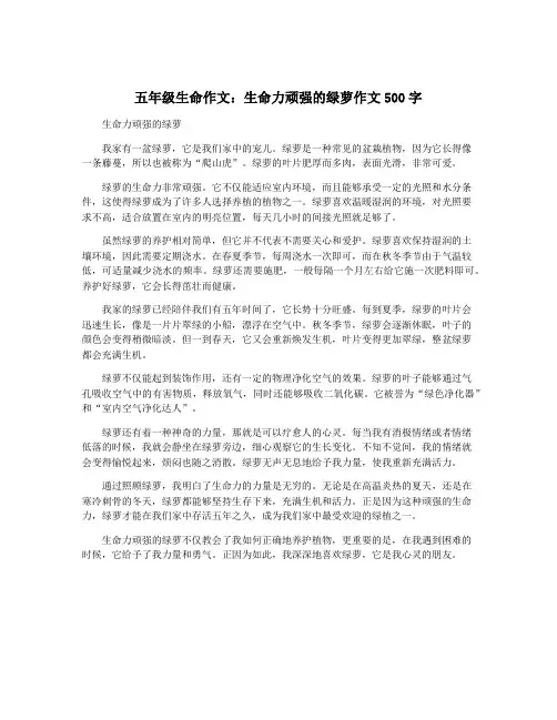 五年级生命作文：生命力顽强的绿萝作文500字