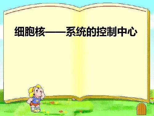细胞核――系统的控制中心PPT课件
