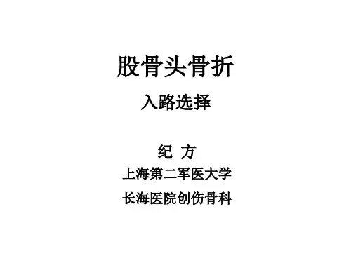 股骨头骨折--入路选择
