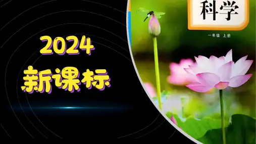 (2024)科学教科版一年级上册-13 观察与比较 精品课件PPT