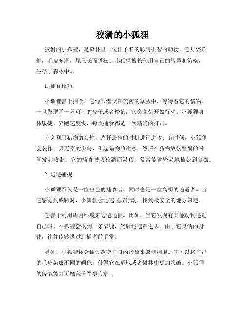 狡猾的小狐狸