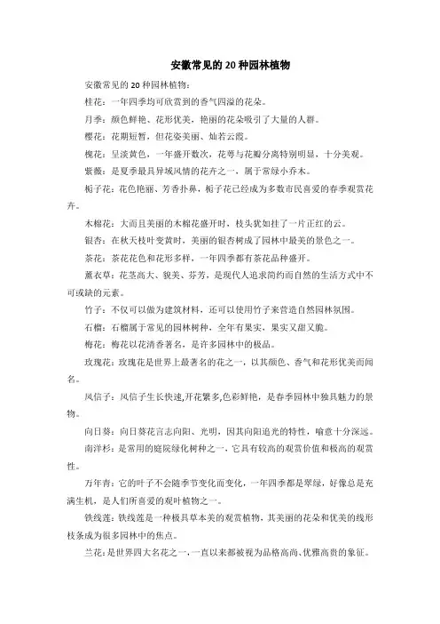 安徽常见的20种园林植物