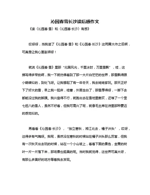 沁园春雪长沙读后感作文