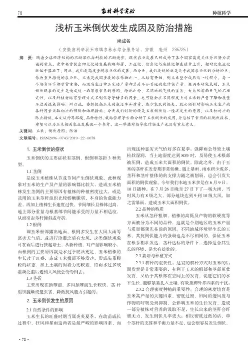 浅析玉米倒伏发生成因及防治措施