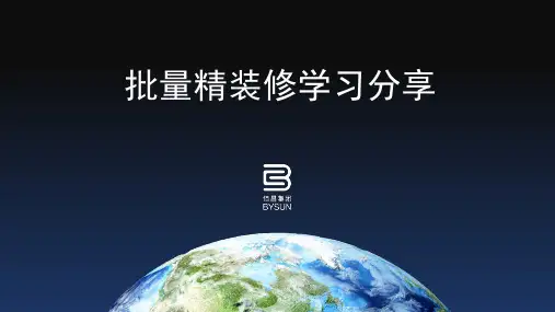 批量精装修学习分享(课堂PPT)
