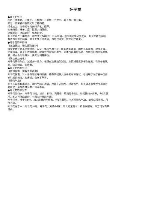叶子花——精选推荐